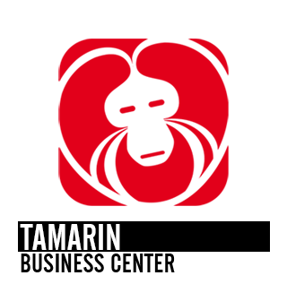 TAMARIN